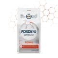 FORZA 10 RENAL ACTIVE KG 4
