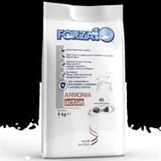 FORZA 10 ARMONIA KG 4