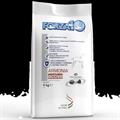 FORZA 10 ARMONIA KG 4