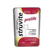 PROLIFE CAT URINARY STRUVITE 12 X GR 85
