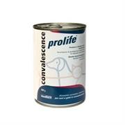 PROLIFE DOG/CAT VET CONVALESCENCE GR 400