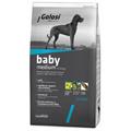 GOLOSI DOG BABY MEDIUM KG 12