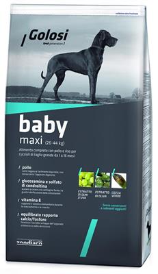 GOLOSI DOG BABY MAXI KG 12