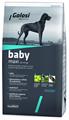 GOLOSI DOG BABY MAXI KG 12
