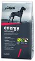 GOLOSI DOG ENERGY KG 12