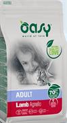 OASY CAT AGNELLO GR 300