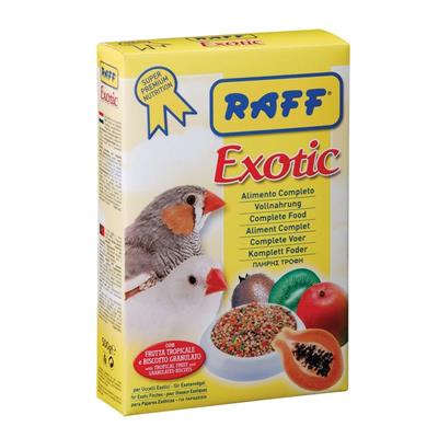 RAFF EXOTIC GR 500