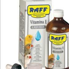 RAFF VITAMINA E LIQUIDA ML 200