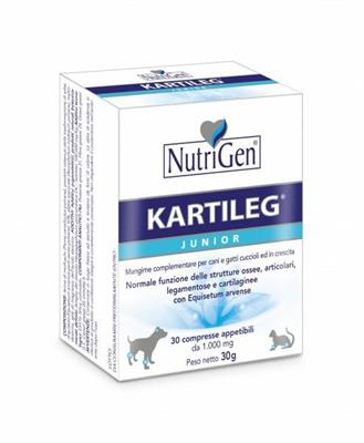 KARTILEG JUNIOR 30 TAVOLETTE GR 1