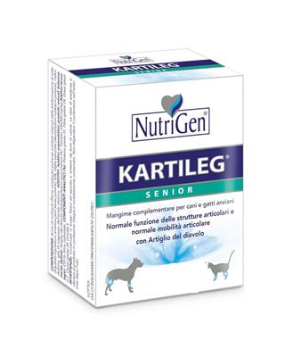 KARTILEG SENIOR 60 TAVOLETTE GR 1