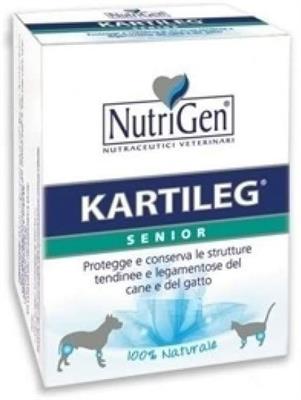 KARTILEG SENIOR 120 TAVOLETTE GR 1