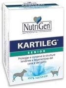 KARTILEG SENIOR 300 TAVOLETTE GR 1