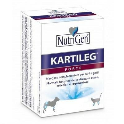 KARTILEG 600 TAVOLETTE GR 1