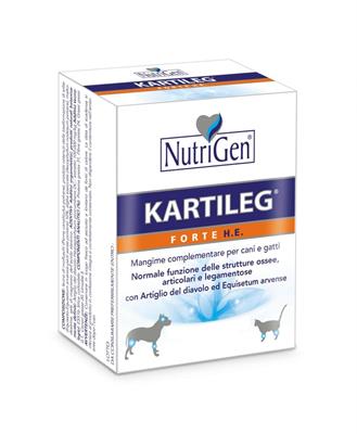 KARTILEG FORTE HE 60 TAVOLETTE GR 1