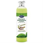 TEWUA SHAMPOO RINFRESCANTE ANTISETTICO ALOE VERA ML 250