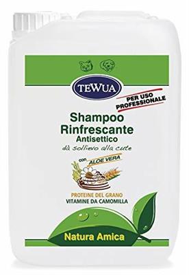 TEWUA RINFRESCANTE ERBE LT 10