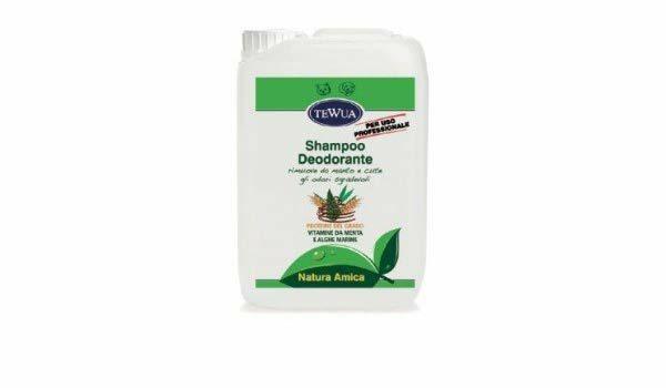 TEWUA SHAMPOO DEODORANTE LT 10