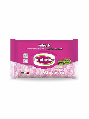 SALVIETTE INODORINA ALOE VERA PZ 40