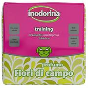 INODORINA TAPPETTRAINING FIORI 60X60 PZ40