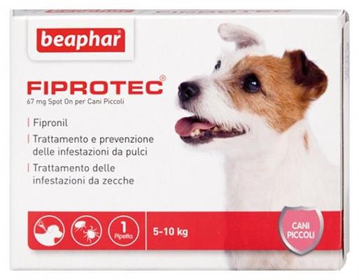 FIPROTEC DOG SMALL 2/10 KG 1 PIPETTE