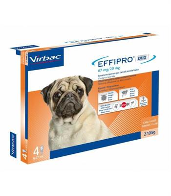 EFFIPRO DUO CANE S 4 PIP