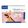 EFFIPRO DUO CANE L 4 PIP