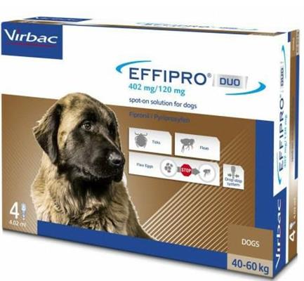 EFFIPRO DUO CANE XL 4 PIP