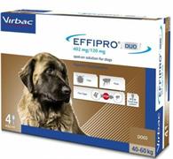 EFFIPRO DUO CANE XL 4 PIP