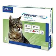 EFFIPRO DUO GATTO 4 PIP