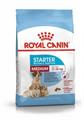 MEDIUM STARTER MOTHER/BABY DOG ROYAL CANIN KG 4