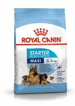 MAXI STARTER MOTHER/BABY DOG ROYAL CANIN KG 15