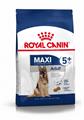 MAXI ADULT +5 DOG ROYAL CANIN KG 4