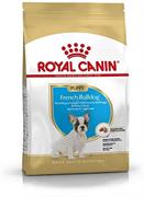 BULLDOG FRENCH PUPPY ROYAL CANIN KG 1