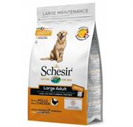 SCHESIR DOG LARGE PUPPY KG 12