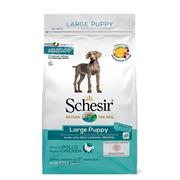 SCHESIR DOG LARGE POLLO KG 12