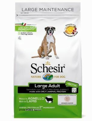 SCHESIR DOG LARGE AGNELLO KG 12