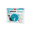 ZYLKENE CANI 20 CPR MG 225