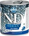 ND UM DOG OCEAN PUMPKIN MERLUZZO GR 285