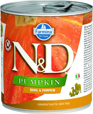 ND UM DOG PUMPKIN QUAGLIA GR 285