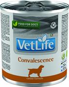VET LIFE DOG CONVALESCENCE GR 300