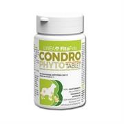 CONDROPHYTO TABLET 60 X GR 1
