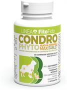 CONDROPHYTO MAXI TABLET 60 X GR 2