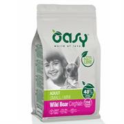 OASY DOG MINI GR 800 CINGHIALE