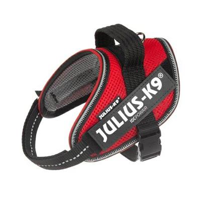 REC PETTORINA JULIUS POWAIR L ROSSO