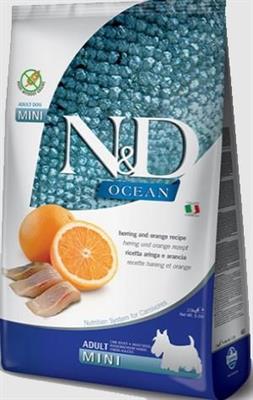 ND DOG OCEAN MINI ARINGA/ARANCIA GR 800