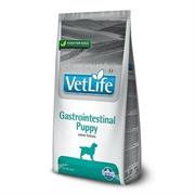 VET LIFE DOG  PUPPY GASTROINTESTINAL KG 2