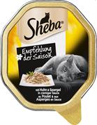 SHEBA VASCHETTA CREAZIONI POLLO/ASPARAGI SALSA 22 X GR 85
