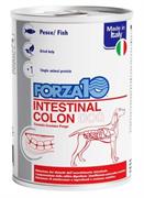 FORZA 10 INTESTINAL COLON GR 390