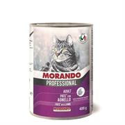 MIGLIOR GATTO PATE' AGNELLO 24 X GR 400