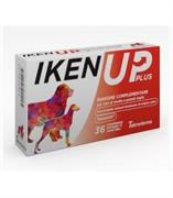 IKEN UP PLUS CANE MEDIUM/LARGE 36 CPR
